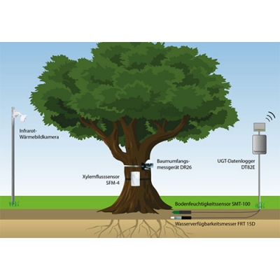 Talking Tree樹木監測系統