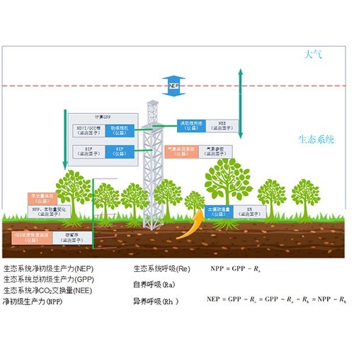 DJ-6319B陸地生態碳匯綜合解決方案